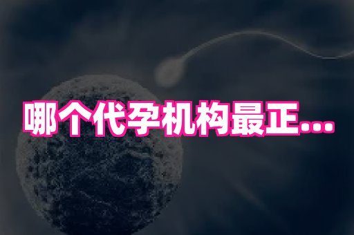 福建助孕网站 2